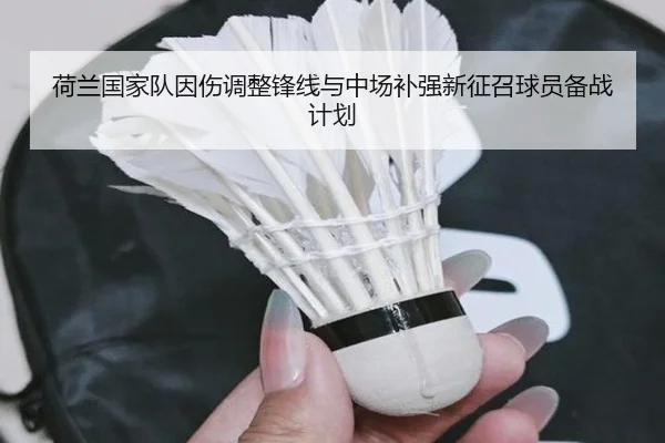 荷兰国家队因伤调整锋线与中场补强新征召球员备战计划
